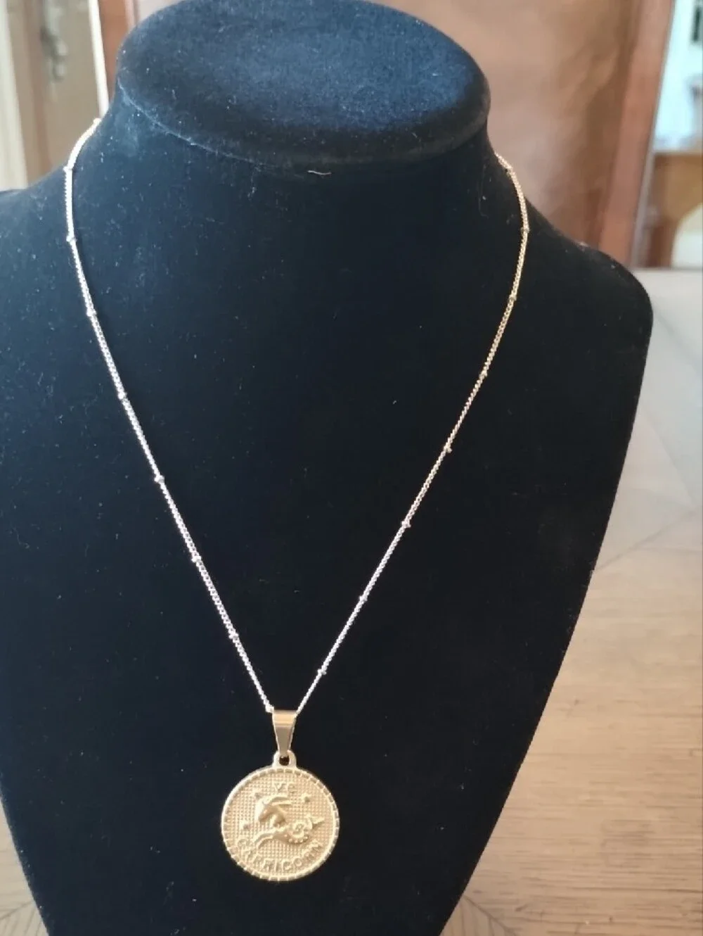 Gold Capricorn Pendant Necklace - Picture 7 of 16